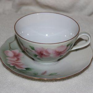 VTG DIADEM BAREUTHER WALDSASSEN BAVARIA GERMANY 154 CUP & SAUCER PINK DOGWOOD